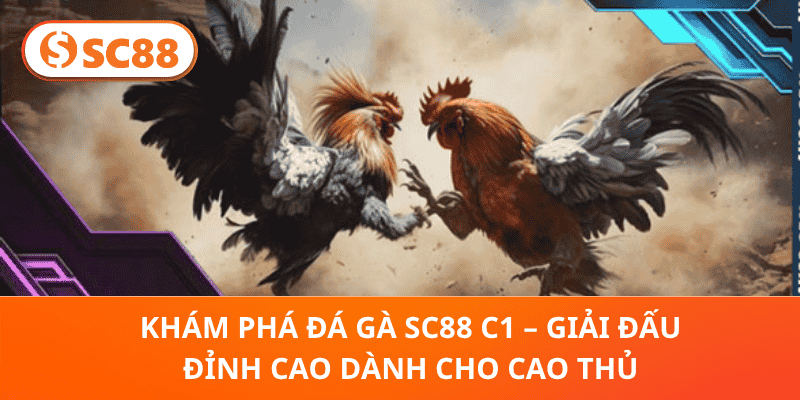 Khám Phá Đá Gà SC88 C1 – Giải Đấu Đỉnh Cao Dành Cho Cao Thủ